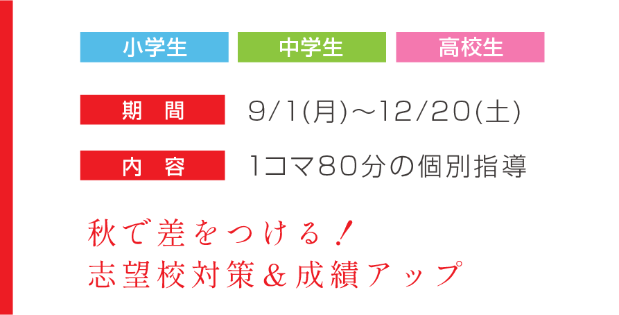 概要